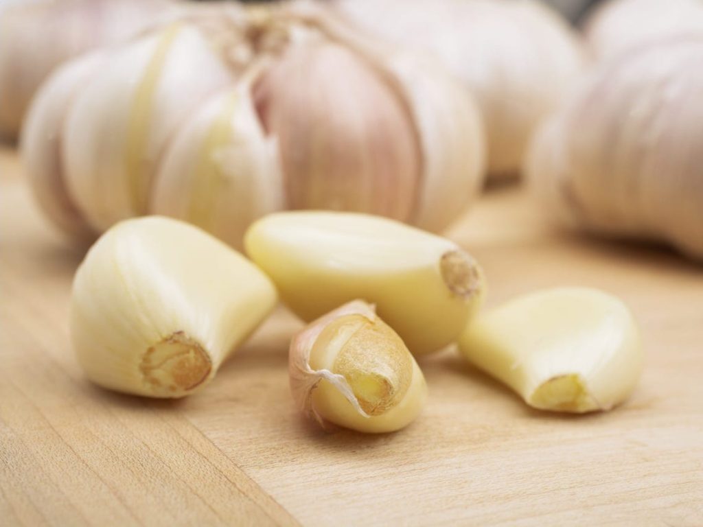 garlic