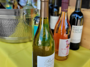 Local Wines at the Rise Up! Ukraine Benefit Festival