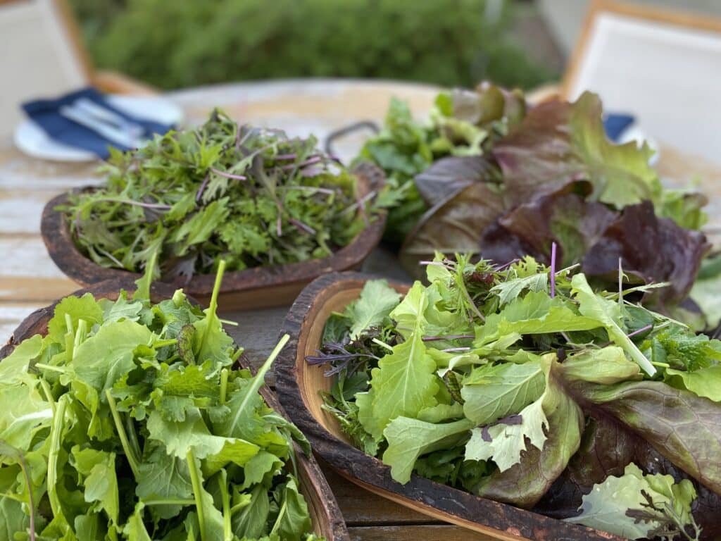 Farm to Table